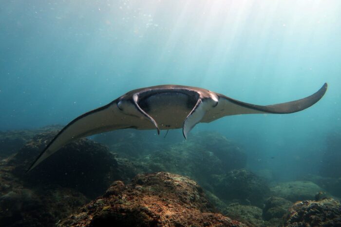 Komodo Full Day Tours