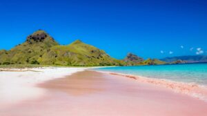 Komodo-One-Day-Trip