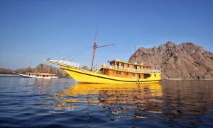 Komodo-Sharing-Trip
