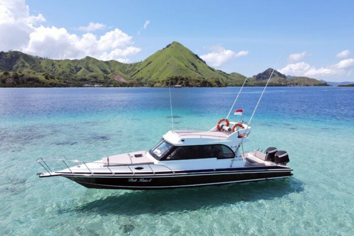 Komodo Sharing Tour with Speed Boat