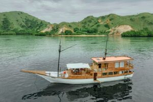 Komodo-Sharing-Trip