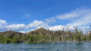 8-Days-Flore-Overland-Tour-Package