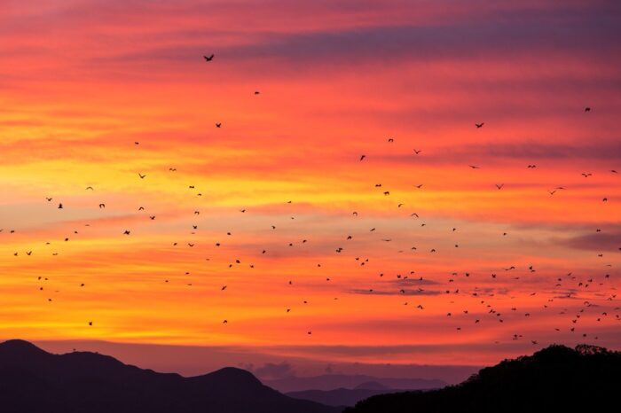 Komodo Sunset Tour