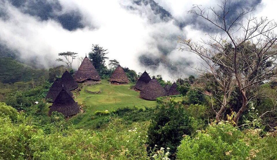 Flores Island